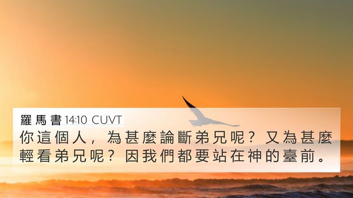 羅 馬 書 14:10 CUVT Bible Verse Image