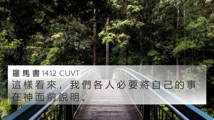羅 馬 書 14:12 CUVT Bible Verse Image