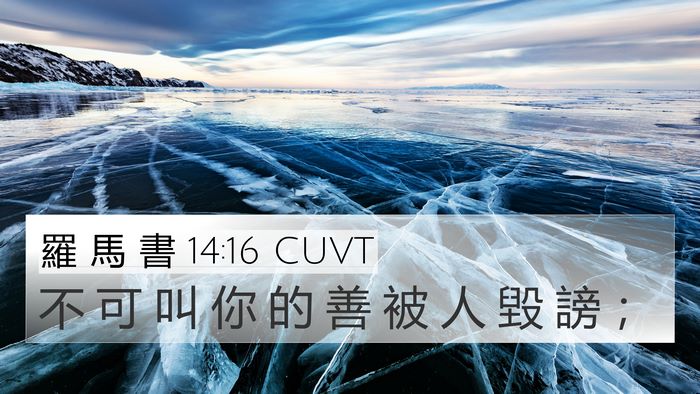 羅 馬 書 14:16 CUVT Bible Verse Image