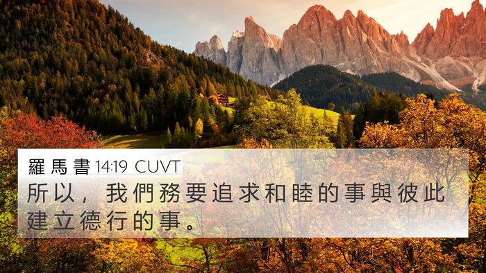 羅 馬 書 14:19 CUVT Bible Verse Image