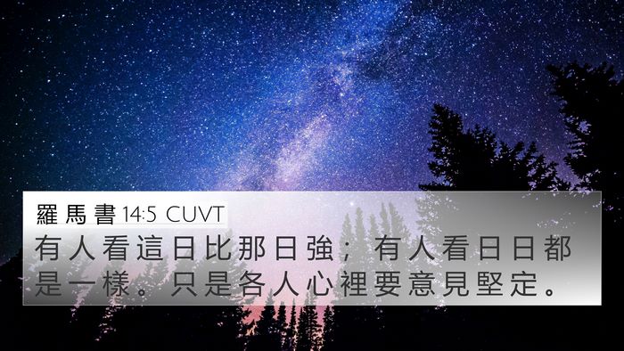 羅 馬 書 14:5 CUVT Bible Verse Image