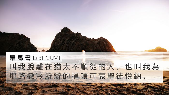 羅 馬 書 15:31 CUVT Bible Verse Image