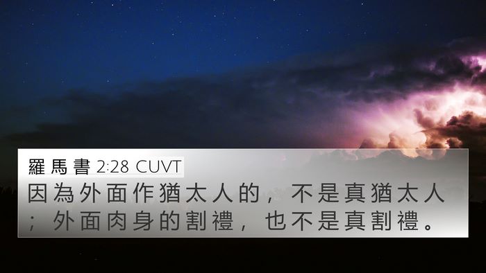 羅 馬 書 2:28 CUVT Bible Verse Image