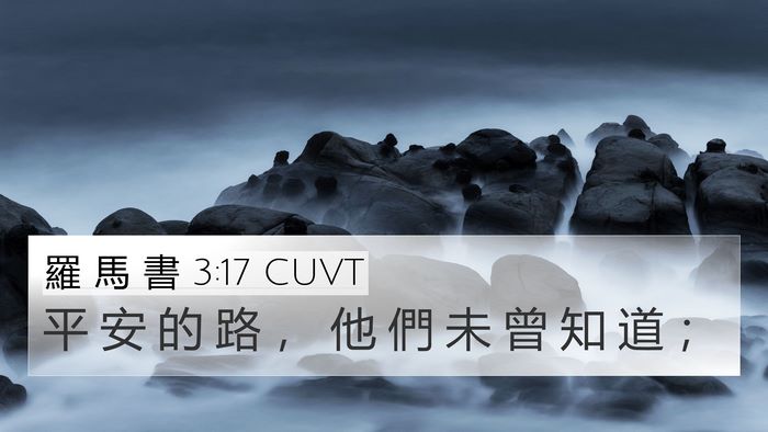 羅 馬 書 3:17 CUVT Bible Verse Image