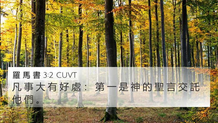 羅 馬 書 3:2 CUVT 4K Wallpaper - 凡 事 大 有 好 處 ： 第 一 是 神 的 - 4K Wallpaper Bible Verse