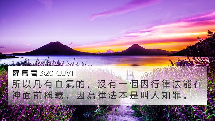 羅 馬 書 3:20 CUVT Bible Verse Image