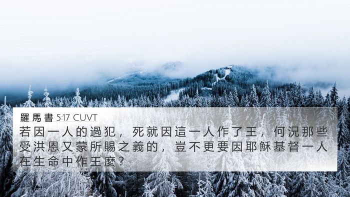 羅 馬 書 5:17 CUVT Bible Verse Image