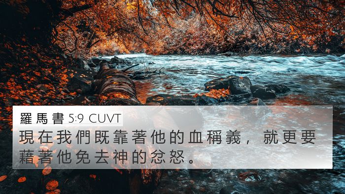 羅 馬 書 5:9 CUVT Bible Verse Image