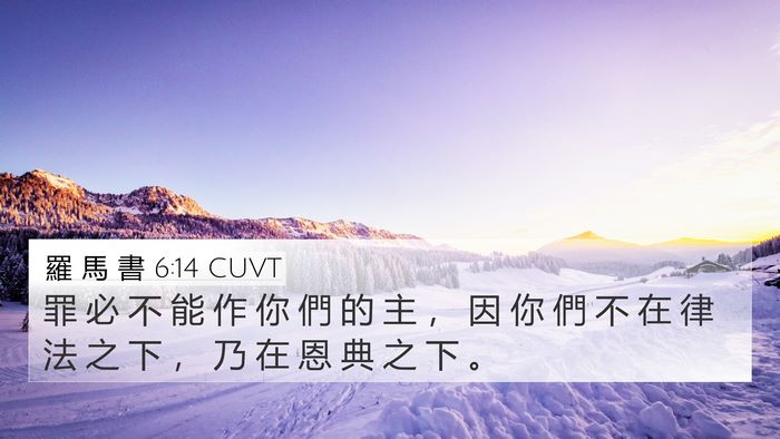 羅 馬 書 6:14 CUVT Bible Verse Image