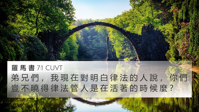 羅 馬 書 7:1 CUVT 4K Wallpaper - 弟 兄 們 ， 我 現 在 對 明 白 律 法 - 4K Wallpaper Bible Verse