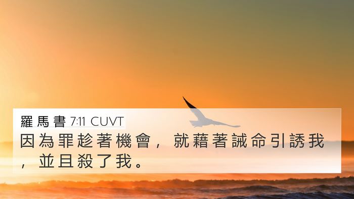 羅 馬 書 7:11 CUVT Bible Verse Image