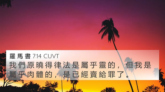 羅 馬 書 7:14 CUVT Bible Verse Image