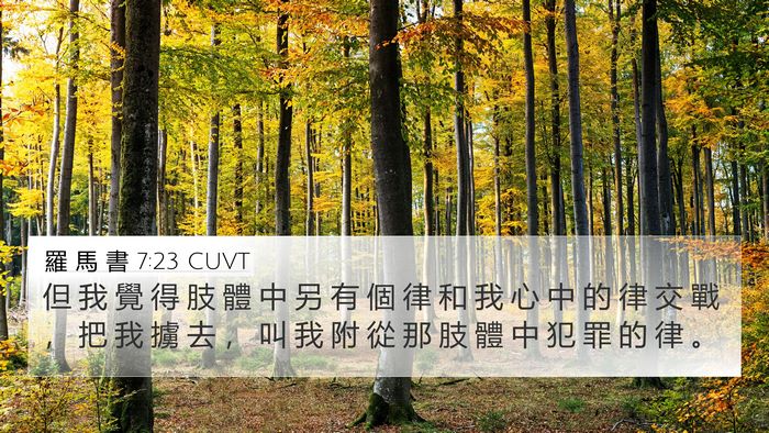 羅 馬 書 7:23 CUVT Bible Verse Image