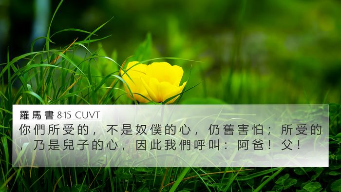 羅 馬 書 8:15 CUVT Bible Verse Image