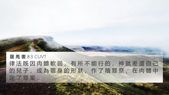 羅 馬 書 8:3 CUVT Bible Verse Image