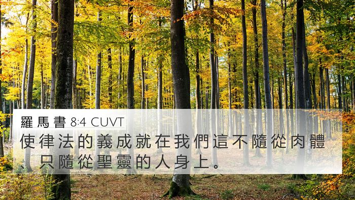 羅 馬 書 8:4 CUVT Bible Verse Image