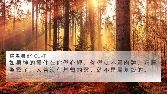 羅 馬 書 8:9 CUVT Bible Verse Image