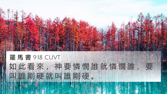 羅 馬 書 9:18 CUVT Bible Verse Image