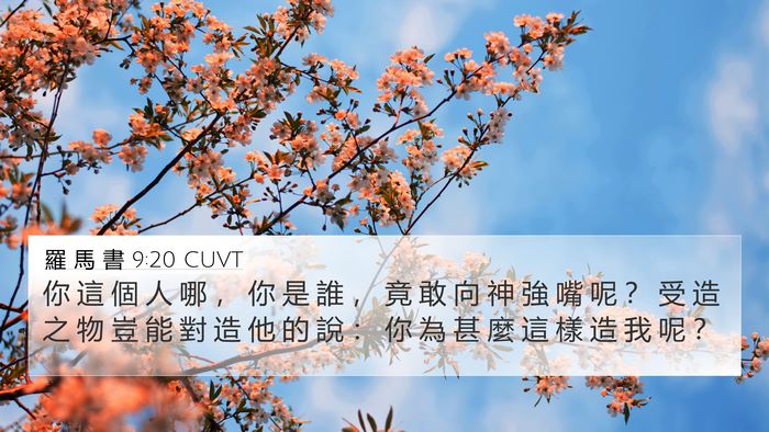 羅 馬 書 9:20 CUVT Bible Verse Image