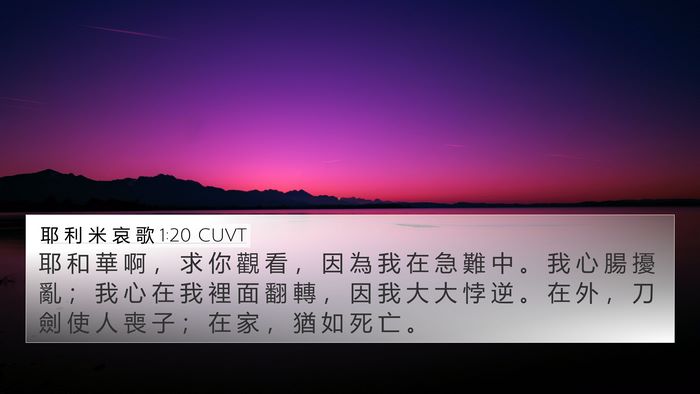耶 利 米 哀 歌 1:20 CUVT Bible Verse Image