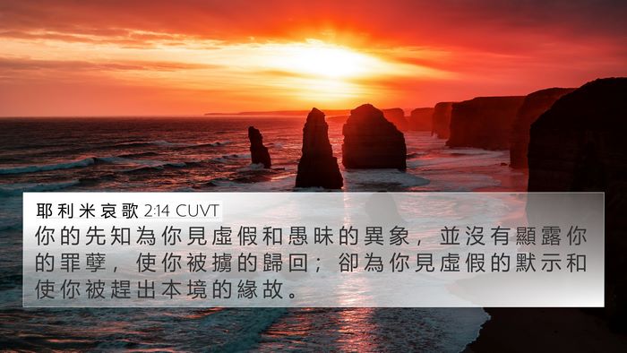 耶 利 米 哀 歌 2:14 CUVT Bible Verse Image