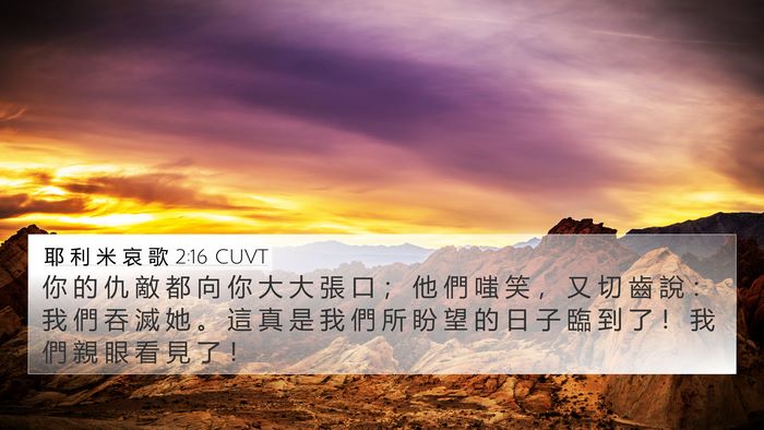 耶 利 米 哀 歌 2:16 CUVT Bible Verse Image