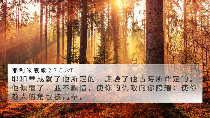 耶 利 米 哀 歌 2:17 CUVT Bible Verse Image