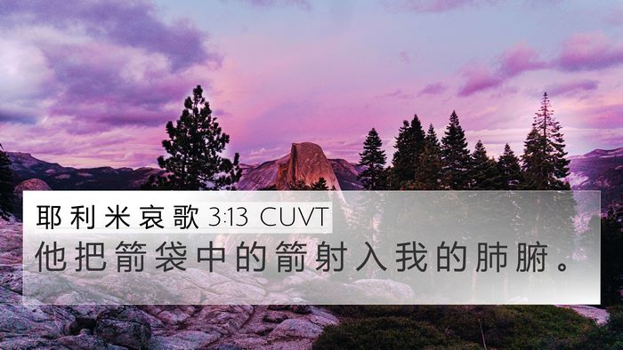 耶 利 米 哀 歌 3:13 CUVT Bible Verse Image