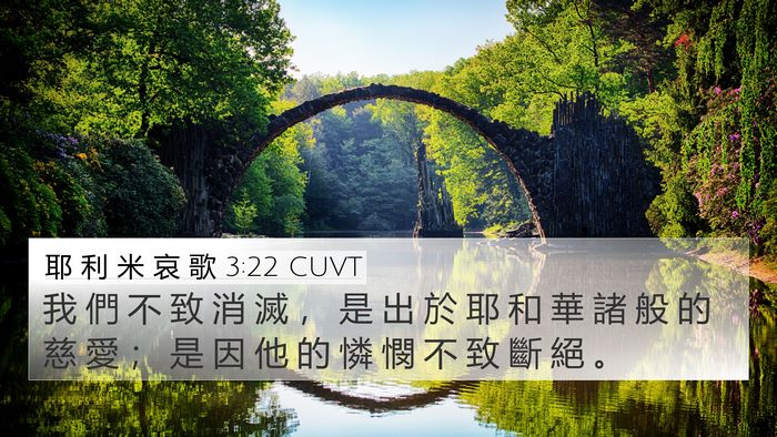 耶 利 米 哀 歌 3:22 CUVT Bible Verse Image