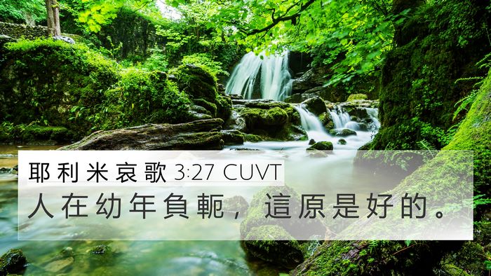 耶 利 米 哀 歌 3:27 CUVT Bible Verse Image