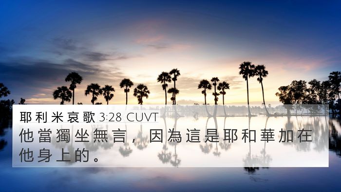耶 利 米 哀 歌 3:28 CUVT Bible Verse Image