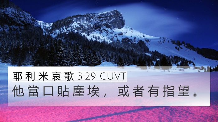 耶 利 米 哀 歌 3:29 CUVT Bible Verse Image