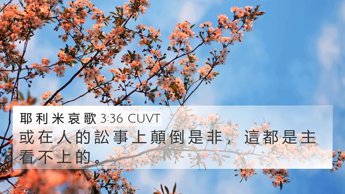 耶 利 米 哀 歌 3:36 CUVT 4K Wallpaper - 或 在 人 的 訟 事 上 顛 倒 是 非 ， - 4K Wallpaper Bible Verse