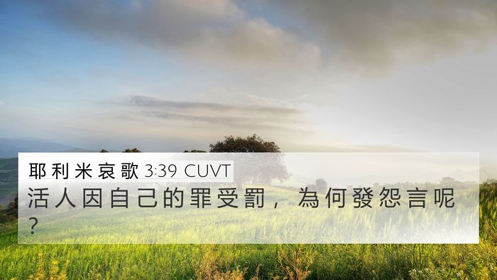 耶 利 米 哀 歌 3:39 CUVT Bible Verse Image