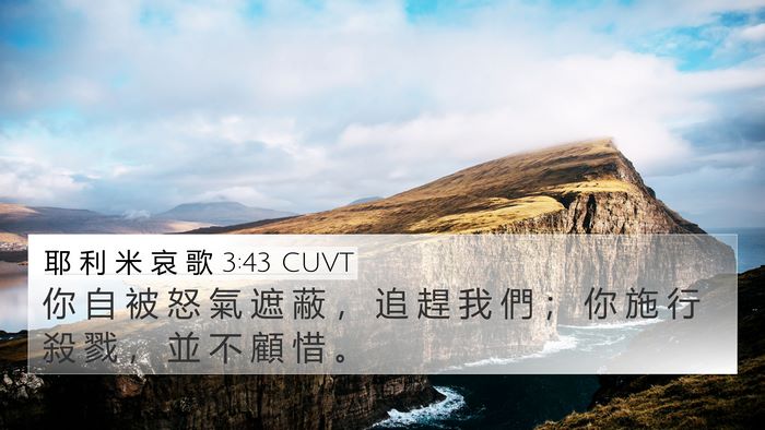 耶 利 米 哀 歌 3:43 CUVT Bible Verse Image