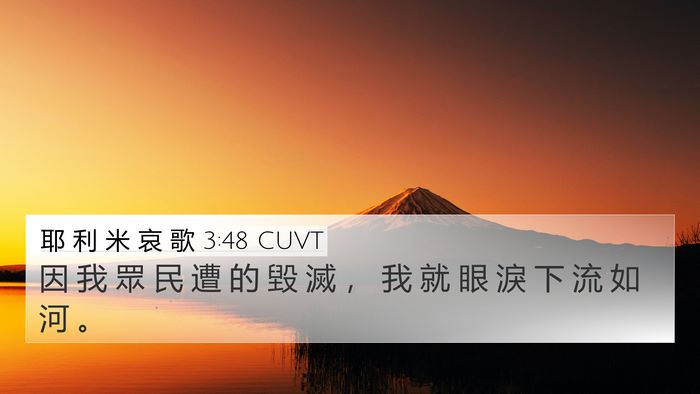 耶 利 米 哀 歌 3:48 CUVT Bible Verse Image