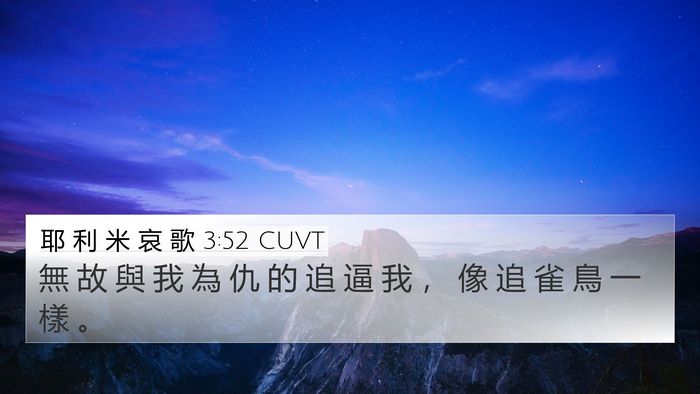 耶 利 米 哀 歌 3:52 CUVT Bible Verse Image