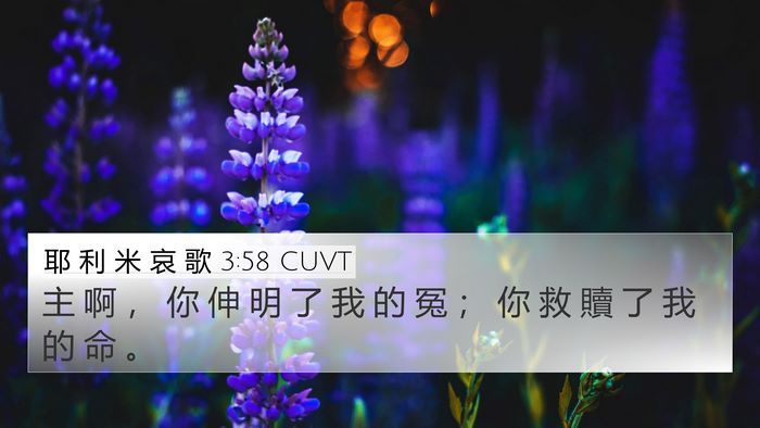 耶 利 米 哀 歌 3:58 CUVT Bible Verse Image