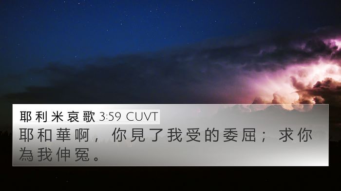 耶 利 米 哀 歌 3:59 CUVT Bible Verse Image