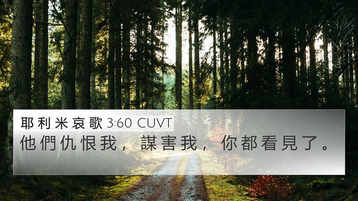 耶 利 米 哀 歌 3:60 CUVT 4K Wallpaper - 他 們 仇 恨 我 ， 謀 害 我 ， 你 都 - 4K Wallpaper Bible Verse
