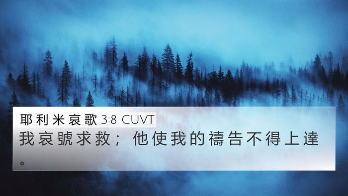 耶 利 米 哀 歌 3:8 CUVT Bible Verse Image