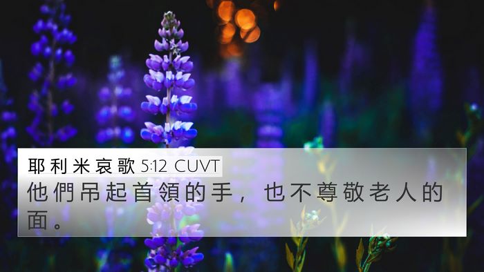耶 利 米 哀 歌 5:12 CUVT Bible Verse Image