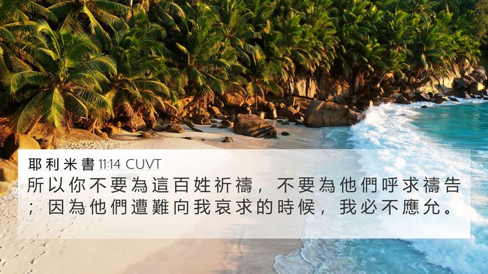 耶 利 米 書 11:14 CUVT Bible Verse Image