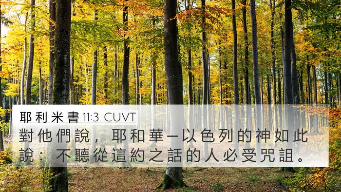 耶 利 米 書 11:3 CUVT Bible Verse Image