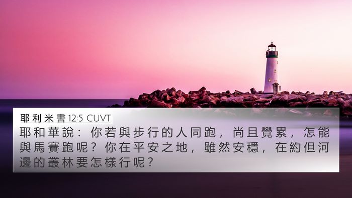 耶 利 米 書 12:5 CUVT Bible Verse Image