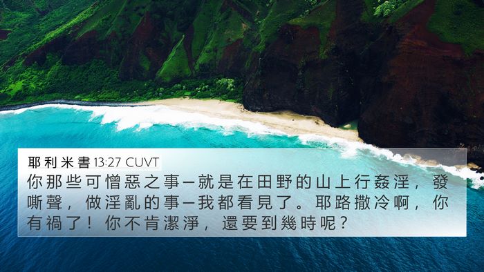 耶 利 米 書 13:27 CUVT Bible Verse Image