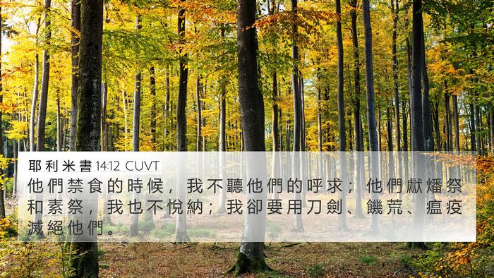 耶 利 米 書 14:12 CUVT Bible Verse Image