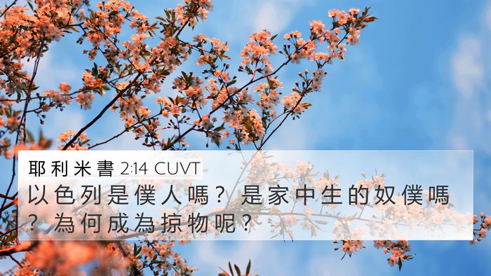 耶 利 米 書 2:14 CUVT 4K Wallpaper - 以 色 列 是 僕 人 嗎 ？ 是 家 中 生 - 4K Wallpaper Bible Verse