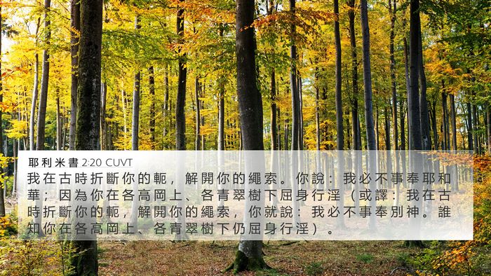 耶 利 米 書 2:20 CUVT Bible Verse Image