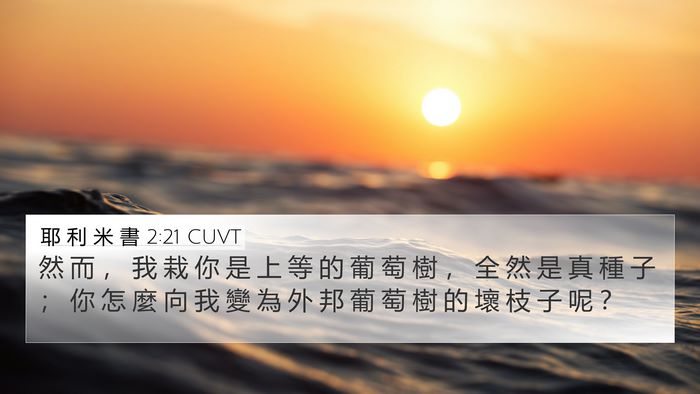 耶 利 米 書 2:21 CUVT Bible Verse Image